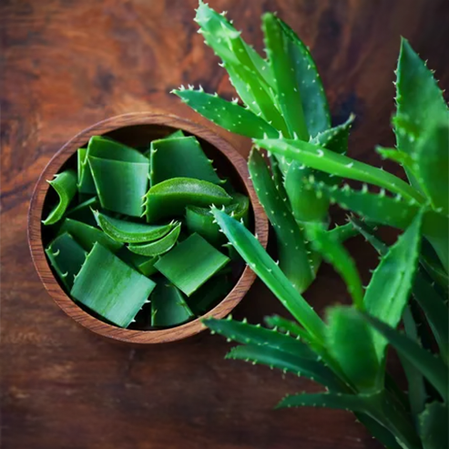 Aloe Vera Yağı