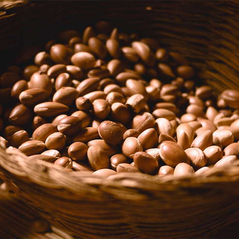Argan Yağı