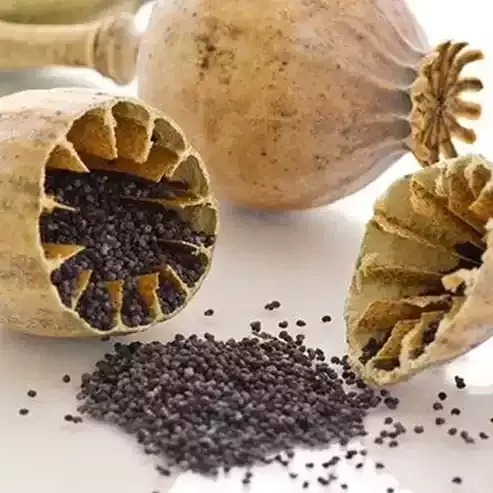 Haşhaş Tohumu Yağı