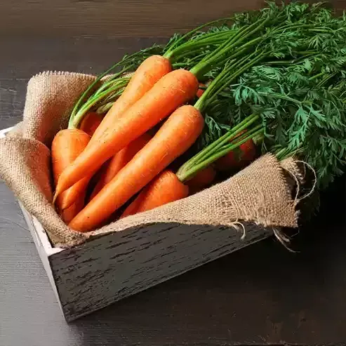 Havuç Yağı