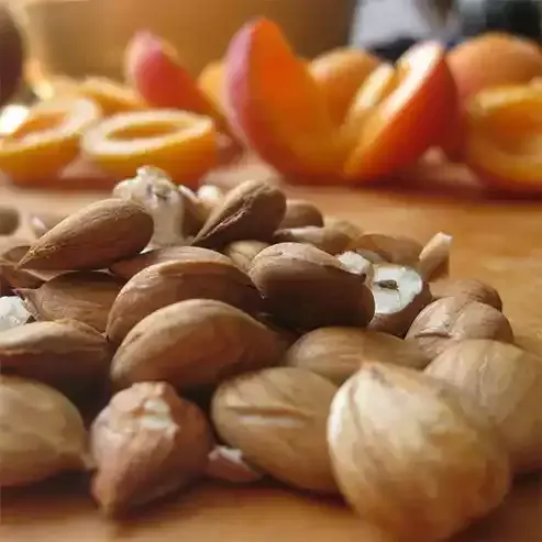 Kayısı Çekirdeği Yağı