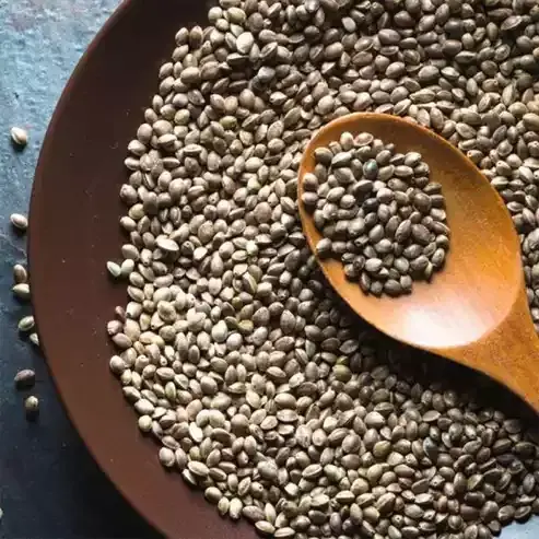 Kenevir Tohumu Yağı