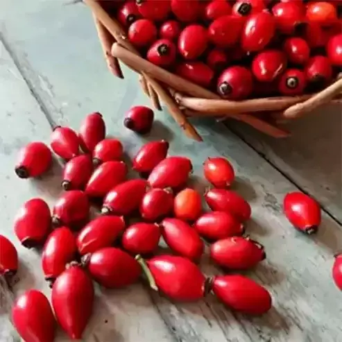 Kuşburnu Yağı