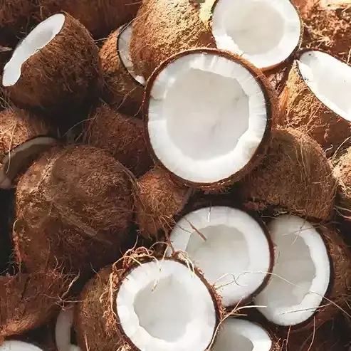 Hindistan Cevizi Yağı