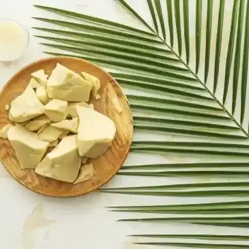 Palm Yağı