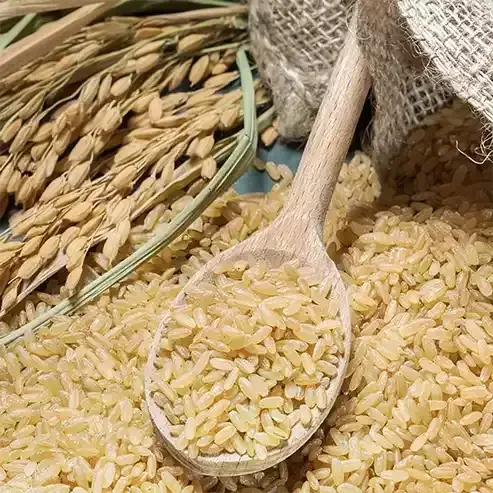 Pirinç Kepeği Yağı