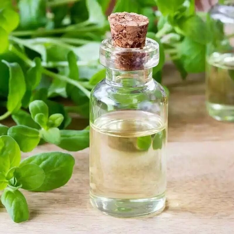 Tatlı mercanköşk yağı